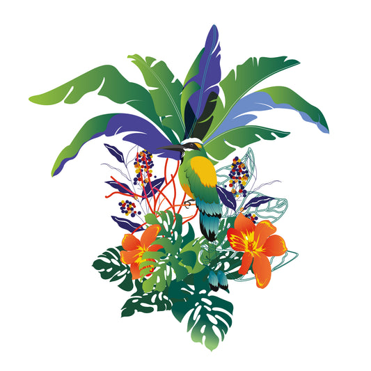 Finca San Isidro - anacafe