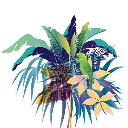 Finca San Isidro - CR95